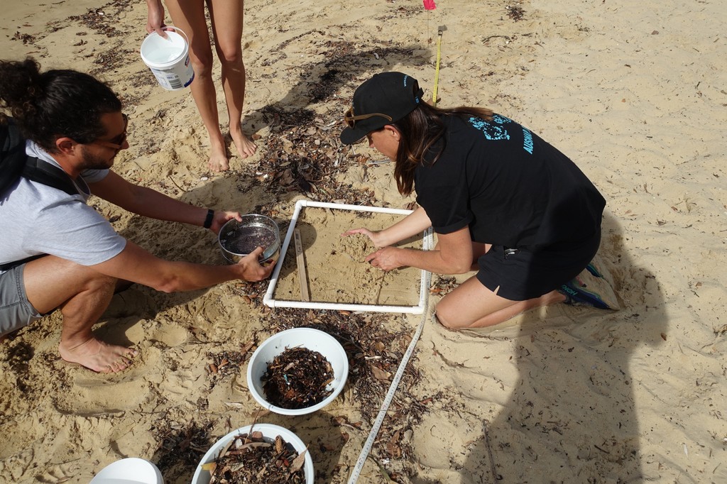 AUSMAP : microplastic tweet media