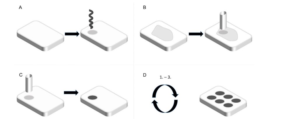 MPs_MDPI's tweet image. #newpaper
🍄Welcome to read the paper by Konrad Kurowski et al. | #AI-Assisted High-Throughput #TissueMicroarray #Workflow
👉mdpi.com/2409-9279/7/6/…
#article #highthroughput #immunohistochemistry