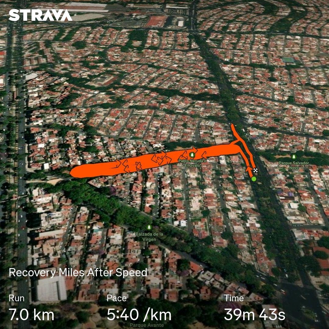 PierDeRog's tweet photo. Second #run of the day after a challenging #speed session this morning. Tonight was all about slow #recovery #miles to loosen up and reset. Recovery is just as important as the hard efforts. #DoubleRunDay #RecoveryRun https://t.co/PMQzmO4mlz https://t.co/emDIPNFurk