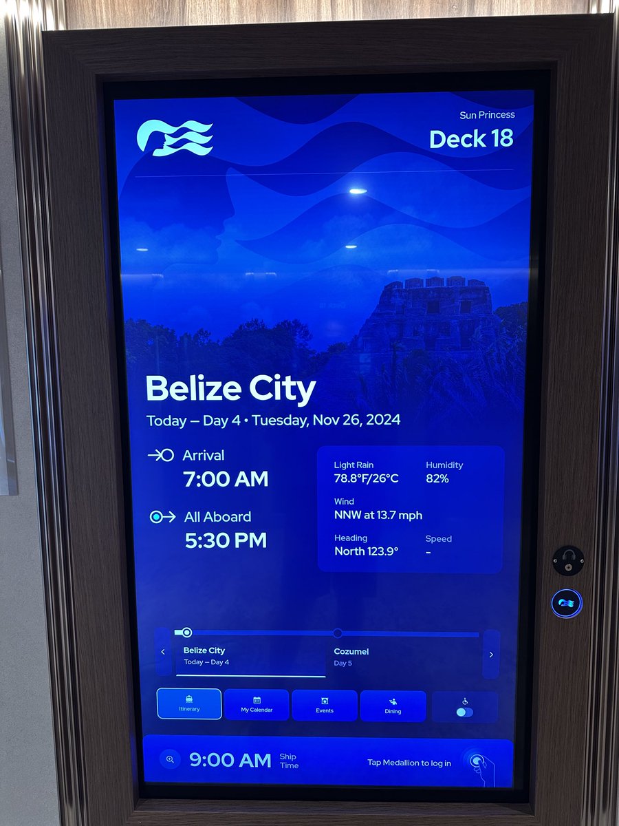 CruzinParadise's tweet image. The #SunPrincess #Cheers