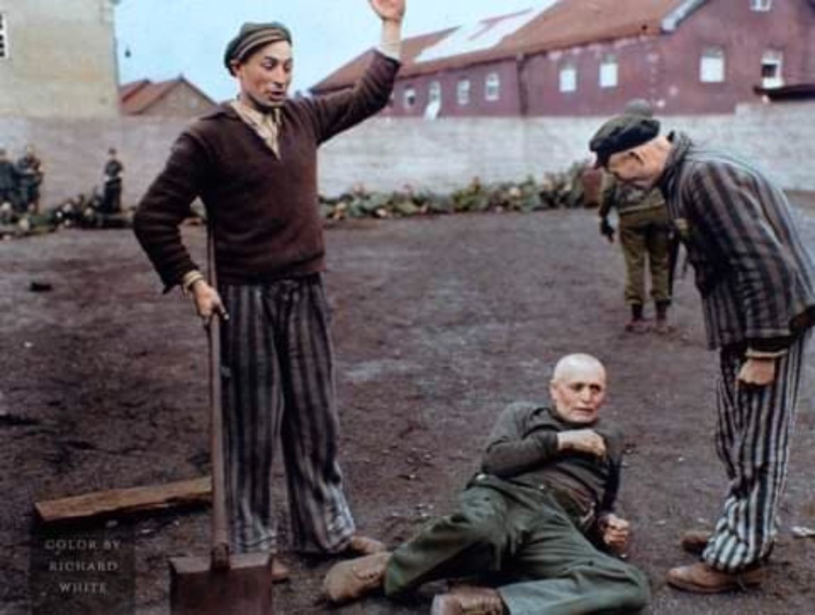 WW2 The Eastern Front tweet media