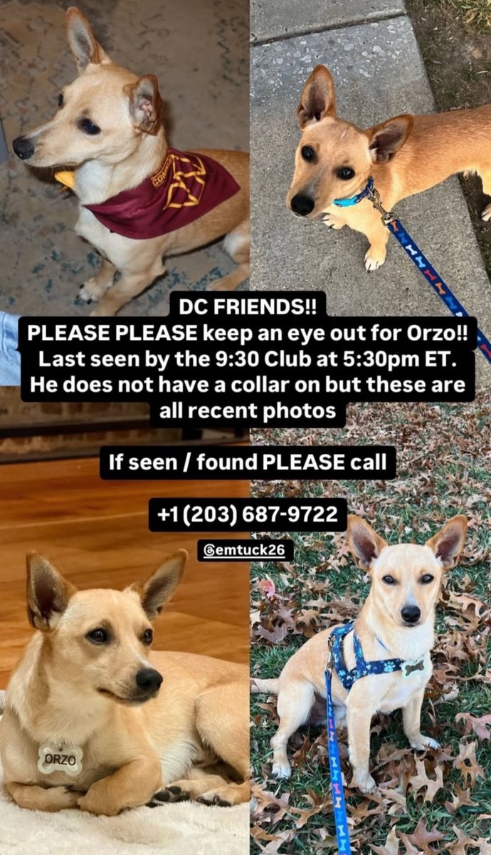 Ryan Sprouse tweet media