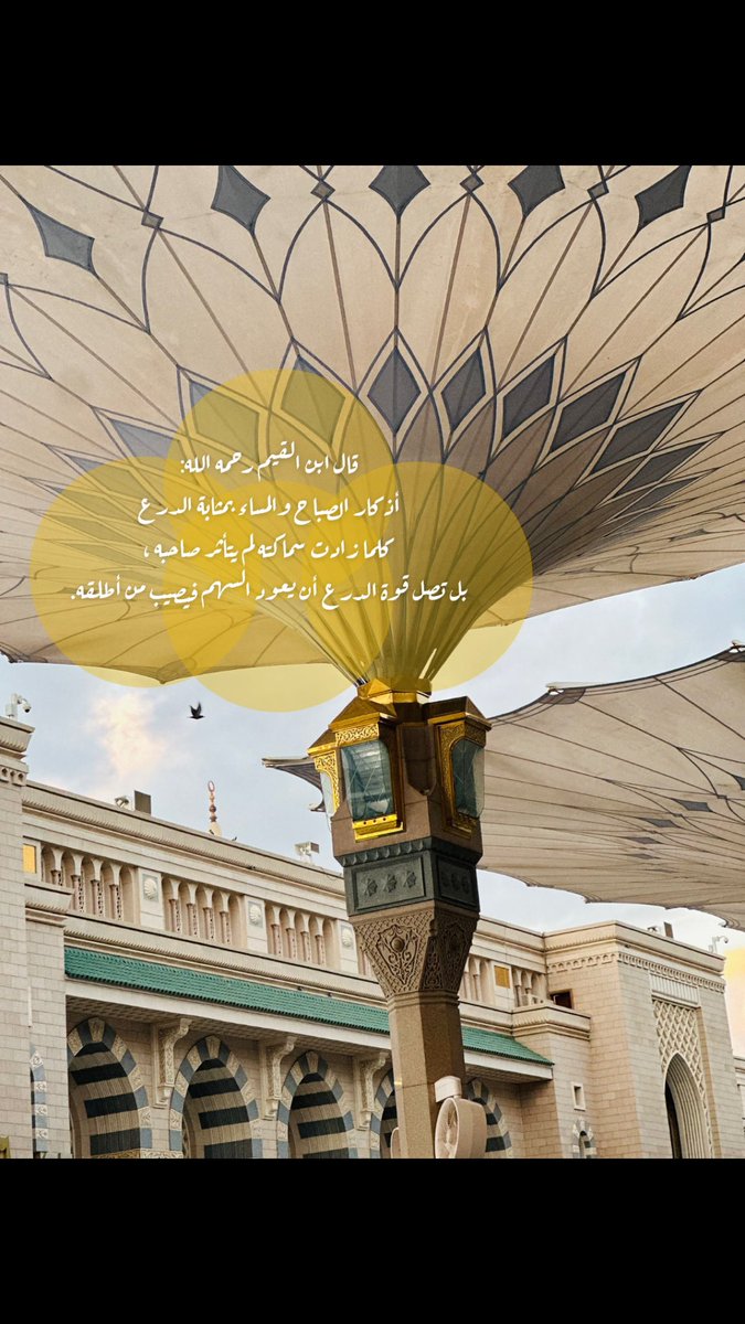 o8o800's tweet photo. صباحي يشع نُورًا وحياااة💡☀️🦋.. https://t.co/rZ7wq3NHlm