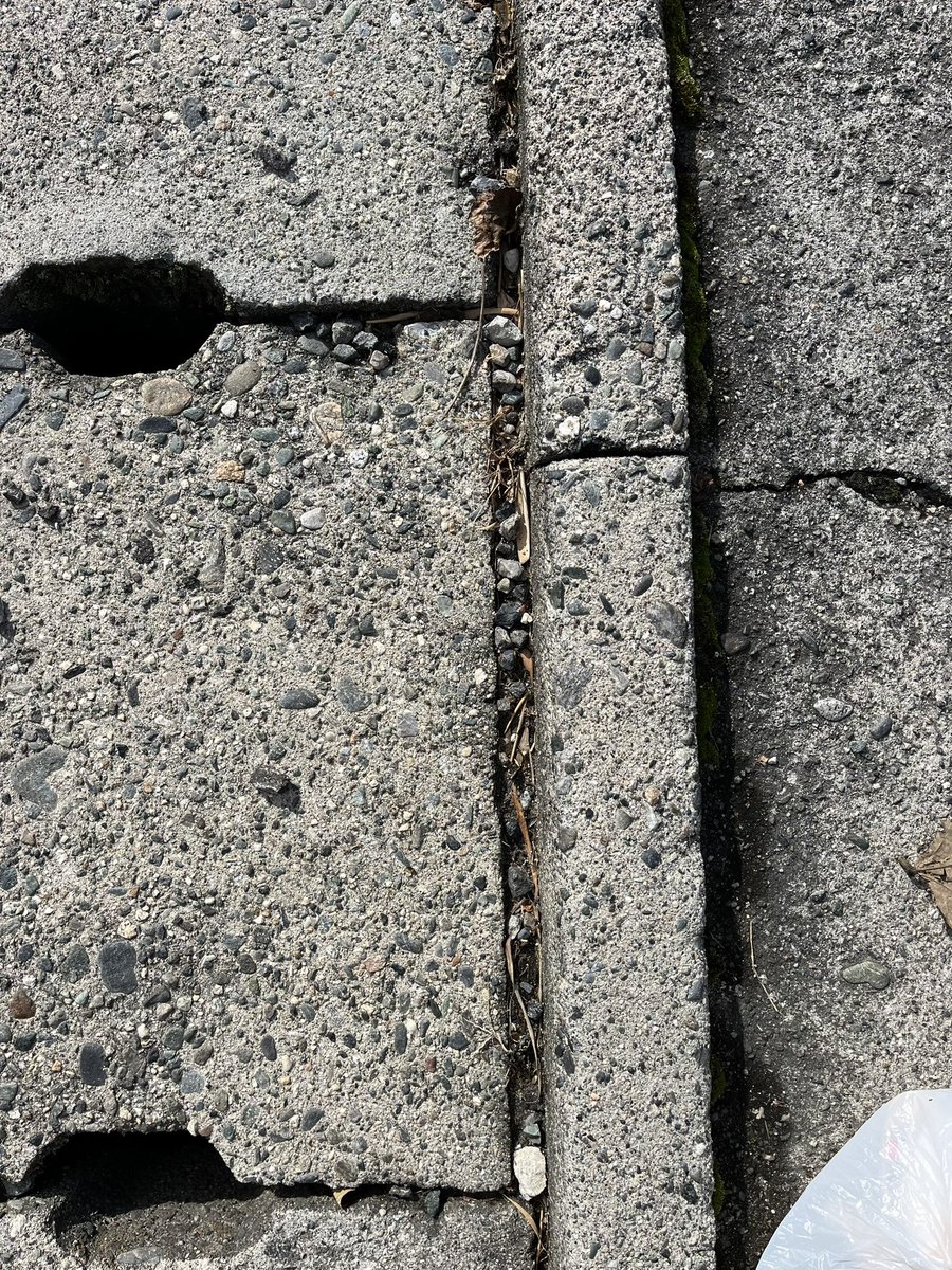 access221244's tweet image. #CleanUpChallenge
#EcoWarrior
@cleanify_vet
#Vechain 
#VeBetterDAO
#continue_salon
#MeGo
#ゴミ拾い