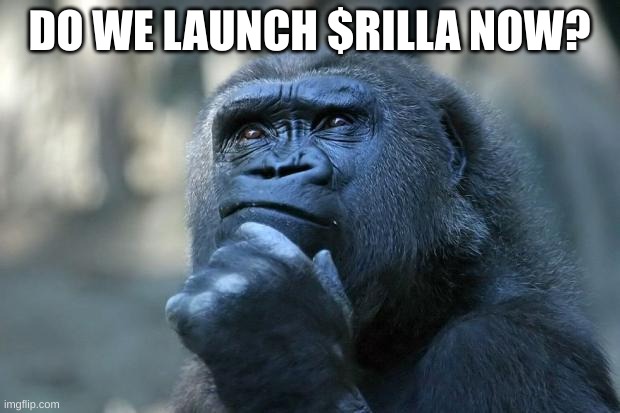 rillatothemoon's tweet photo. 🦍💭 Do we launch $Rilla now? The king of the crypto jungle is about to break out! Are you ready to join the pack? 🚀🍌

Let’s make history. $Rilla to the moon! 🌴

#RillaCoin #CryptoKing #AltCoinGains #MoonMission #MemeCoinHype #JungleVibes #CryptoDegens #CryptoToTheMoon https://t.co/7gyW45YmOm