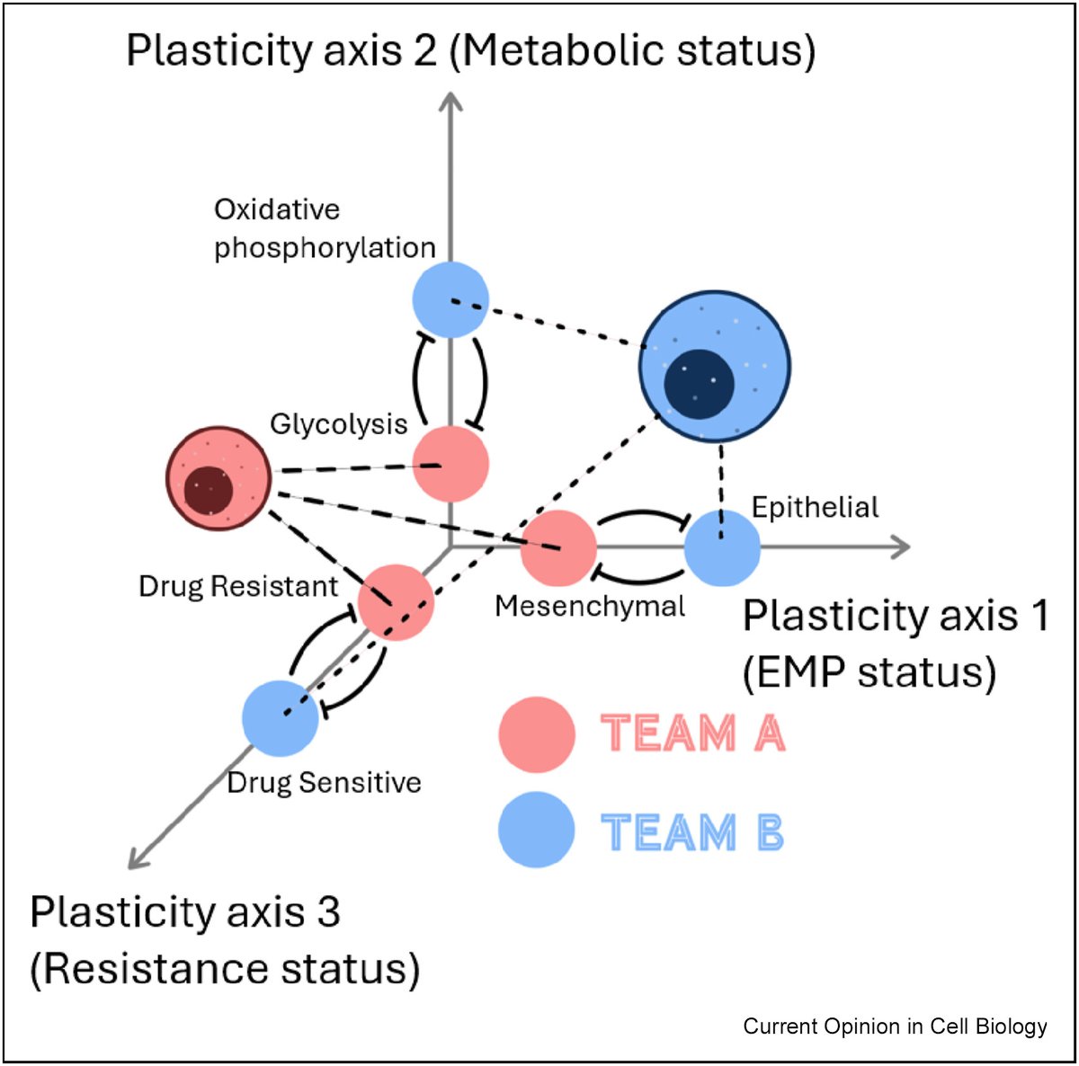 Mohit Kumar Jolly tweet media