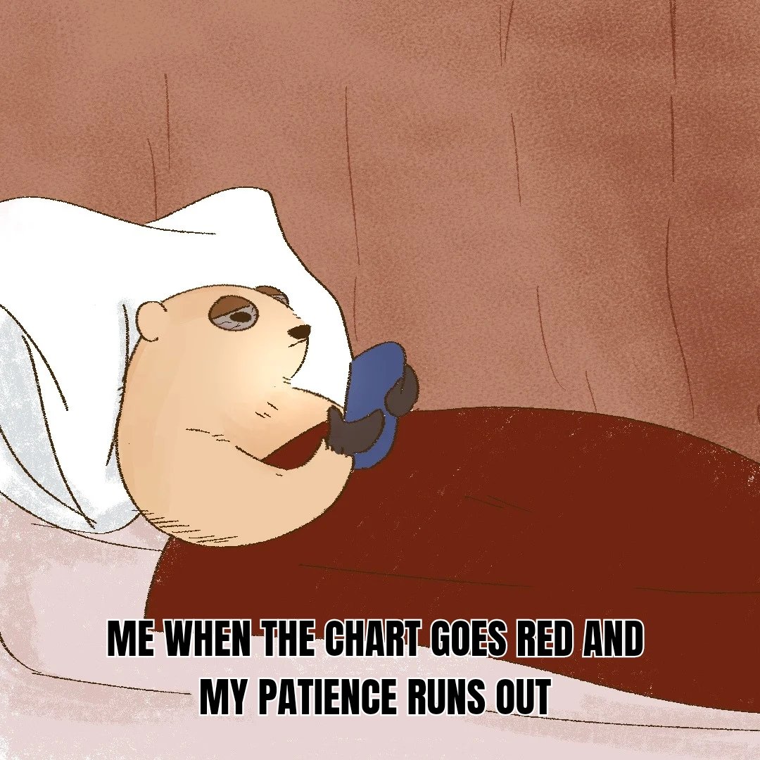 Hoggy the Groundhog tweet media