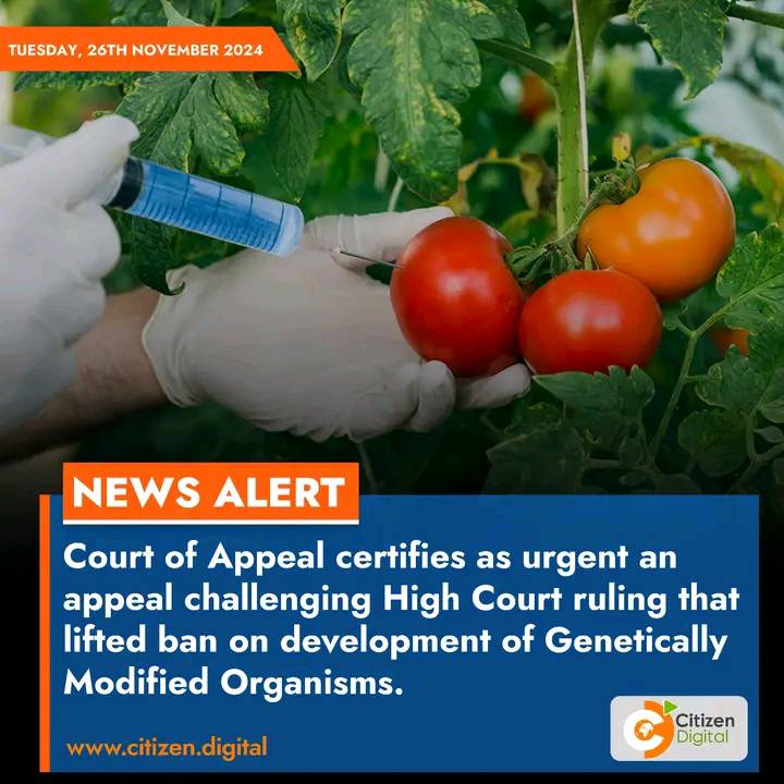 Kenyan Peasants League tweet media