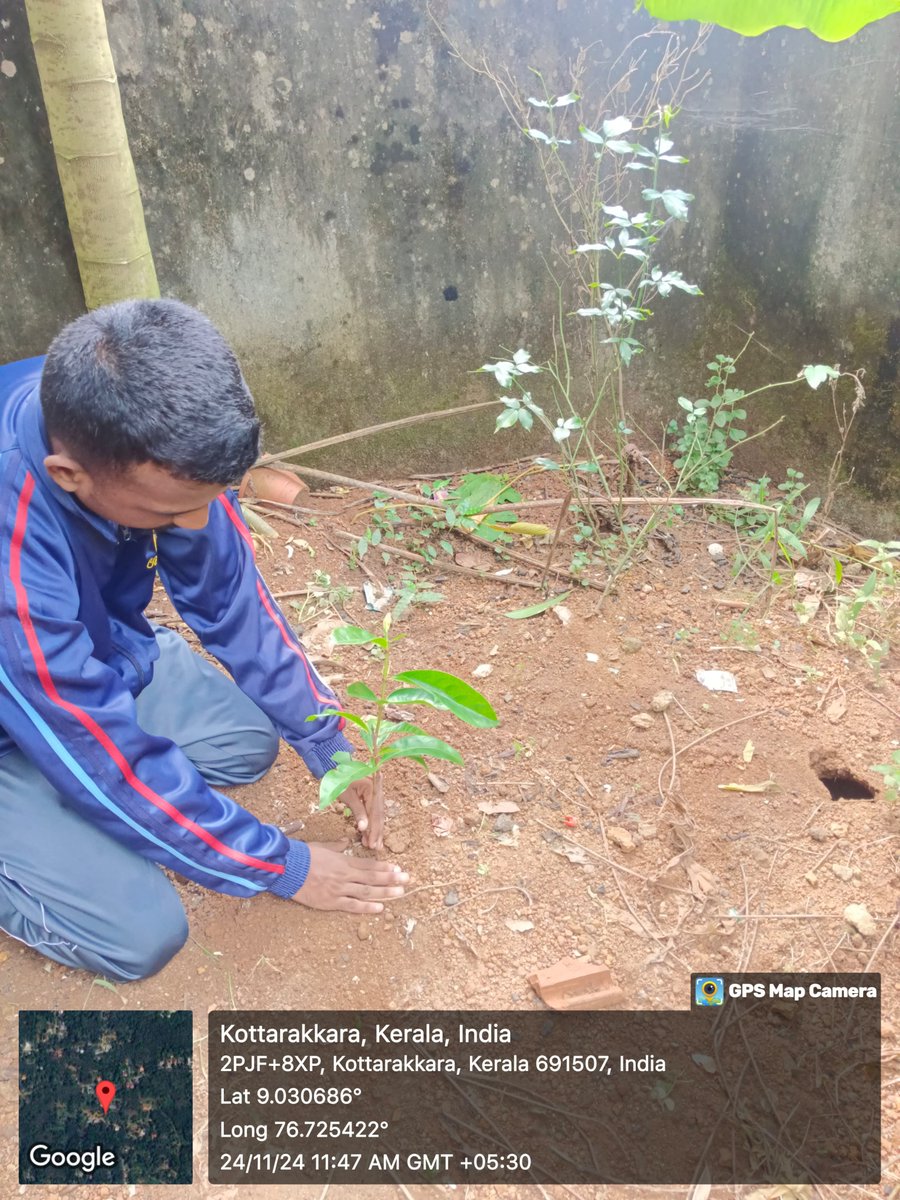 9keralabnNCC's tweet photo. "Growing a greener future! 9K BN NCC cadets conduct 'One Cadet One Tree' campaign, spreading awareness about environmental protection. #OneCadetOneTree #NCCEnvironmentalInitiatives #9KBNNCC" https://t.co/xcMQezyrlo
