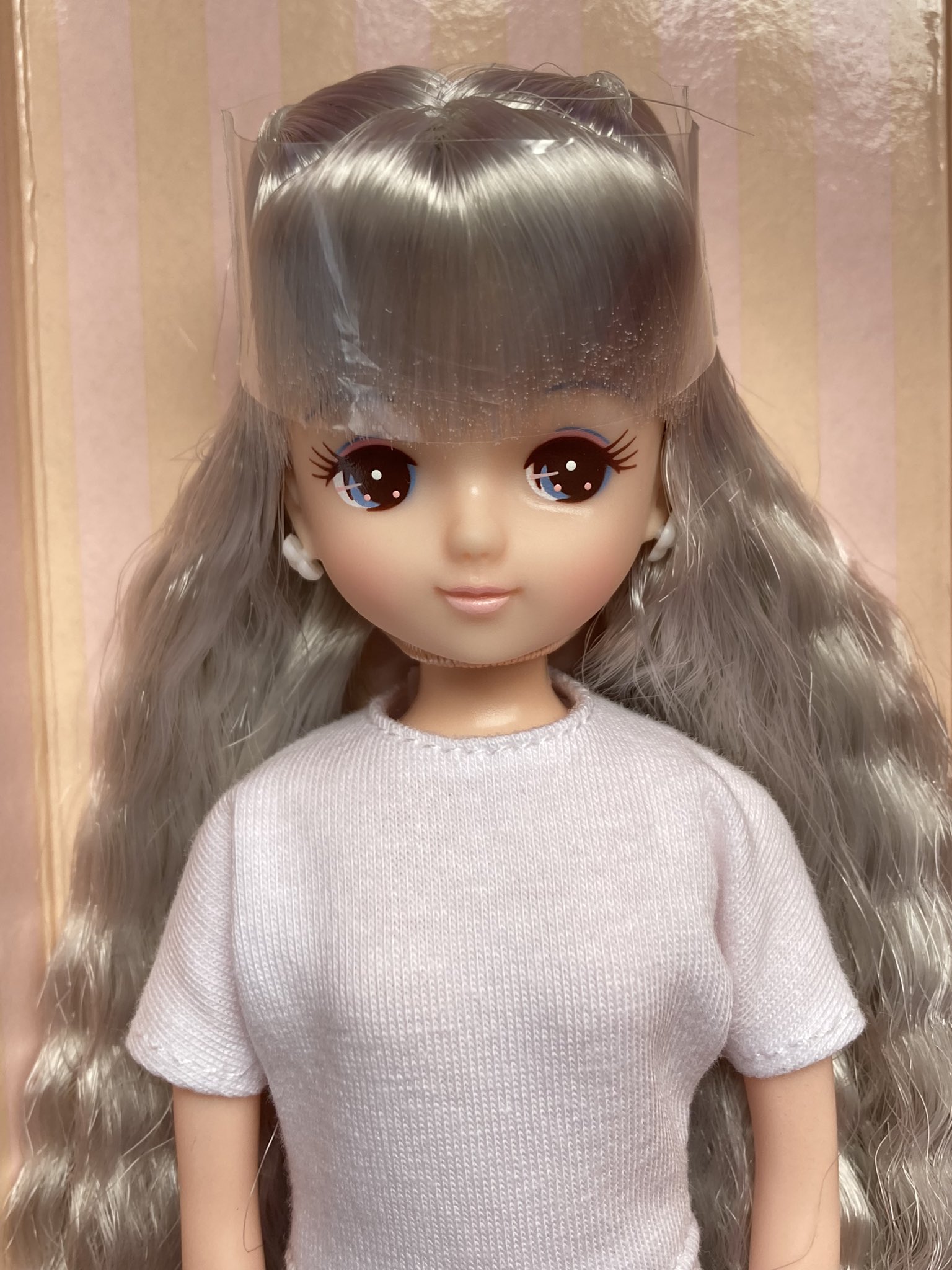 ドール入荷のお知らせ: リカちゃんキャッスルのちいさなおみせ