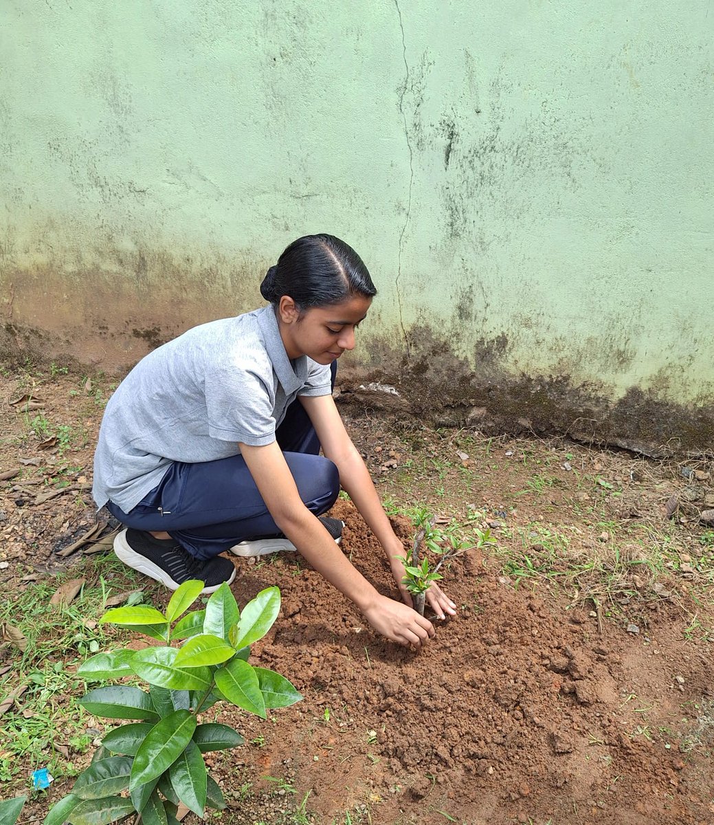 9keralabnNCC's tweet photo. "Growing a greener future! 9K BN NCC cadets conduct 'One Cadet One Tree' campaign, spreading awareness about environmental protection. #OneCadetOneTree #NCCEnvironmentalInitiatives #9KBNNCC" https://t.co/xcMQezyrlo