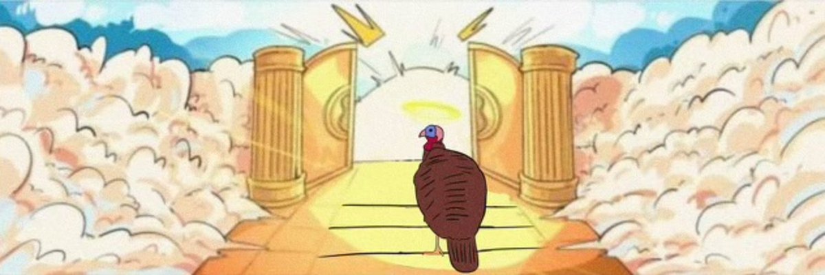 Tom the Turkey tweet media