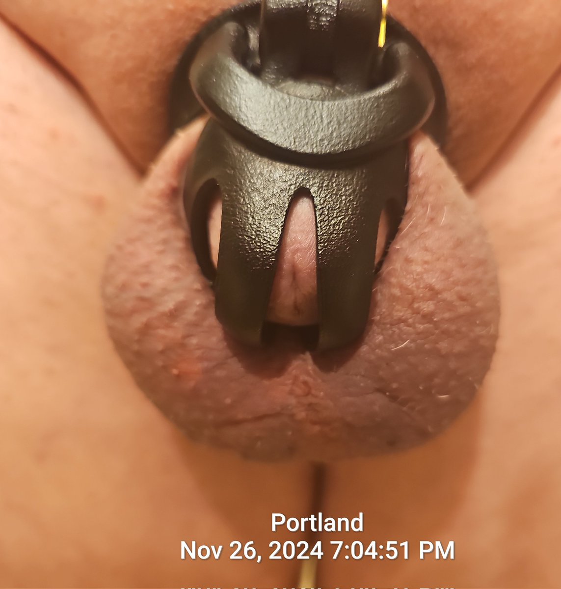 Caged C Ck PDX tweet media