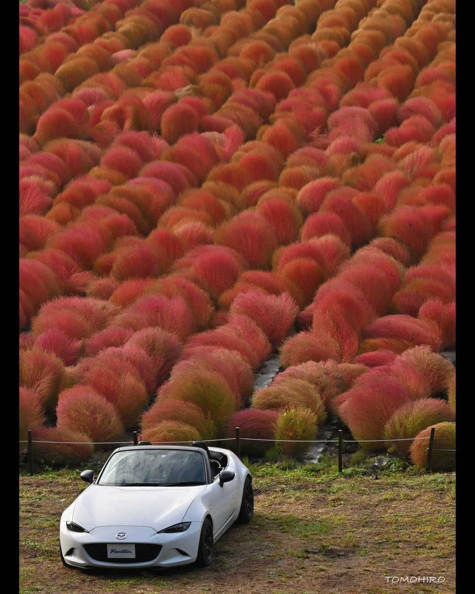 マツダ株式会社 tweet media