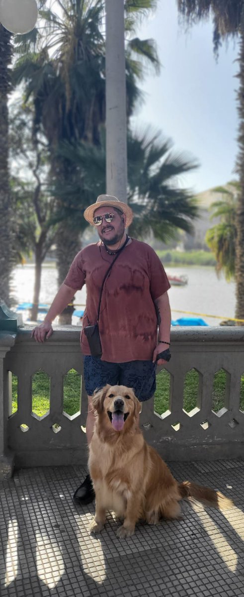 Mikael Cheredov tweet media