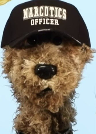 Glen Gore tweet media