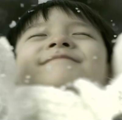 도토리 tweet media