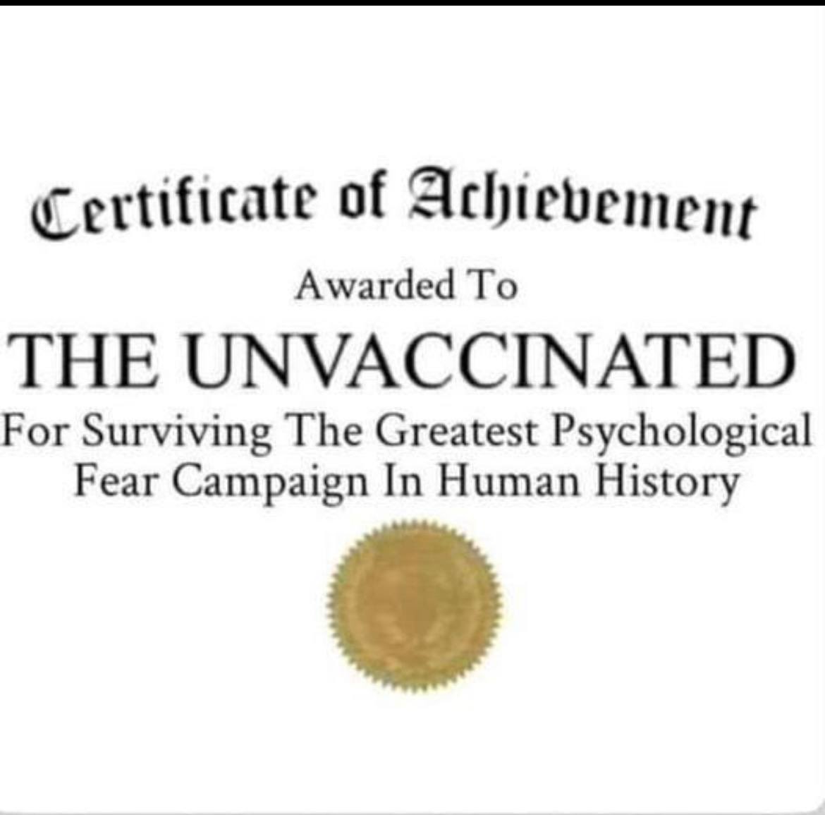 Blondelady2024 tweet media