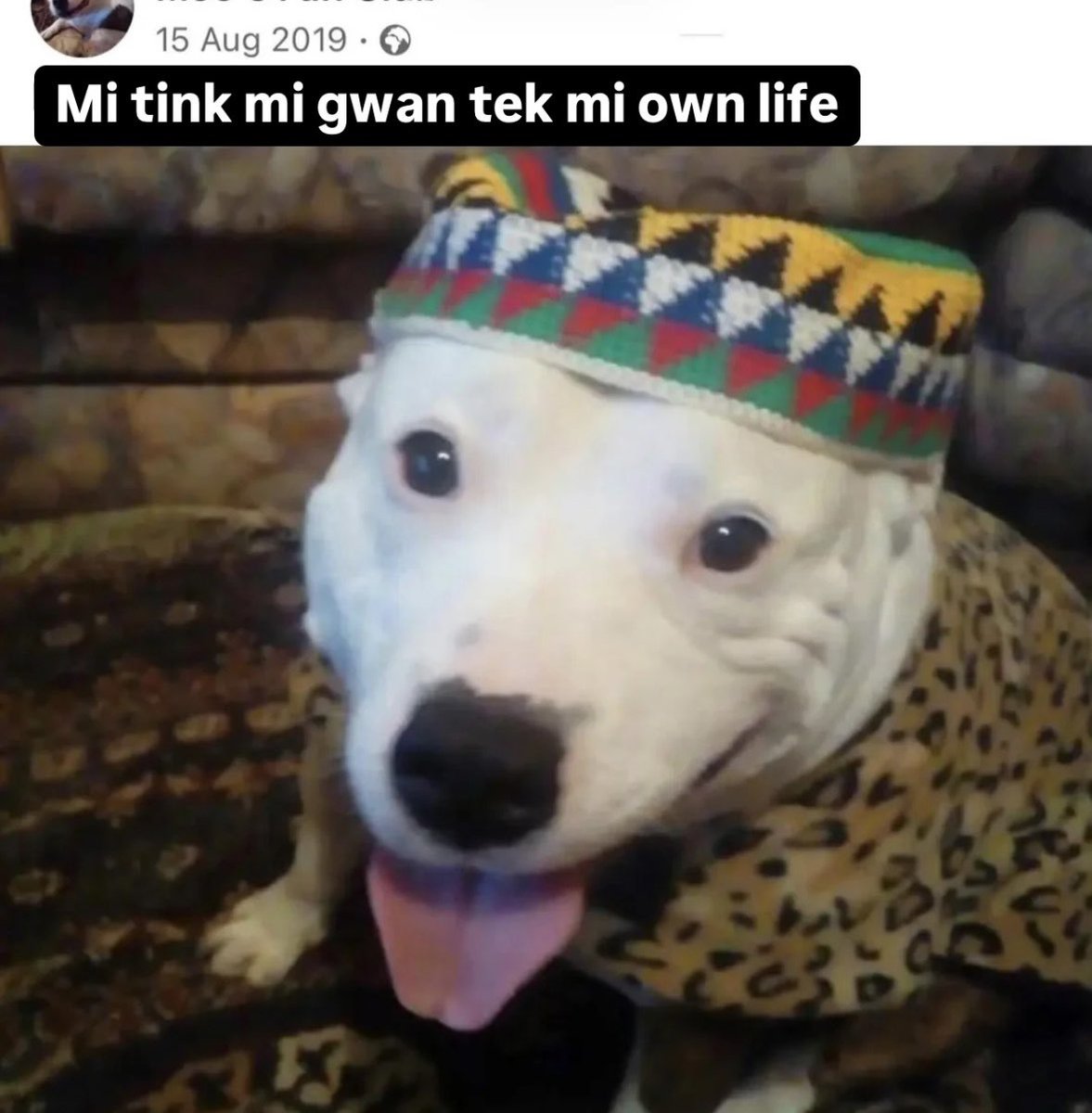 JENKEM SEINFELD (@shitbirdism) on Twitter photo 