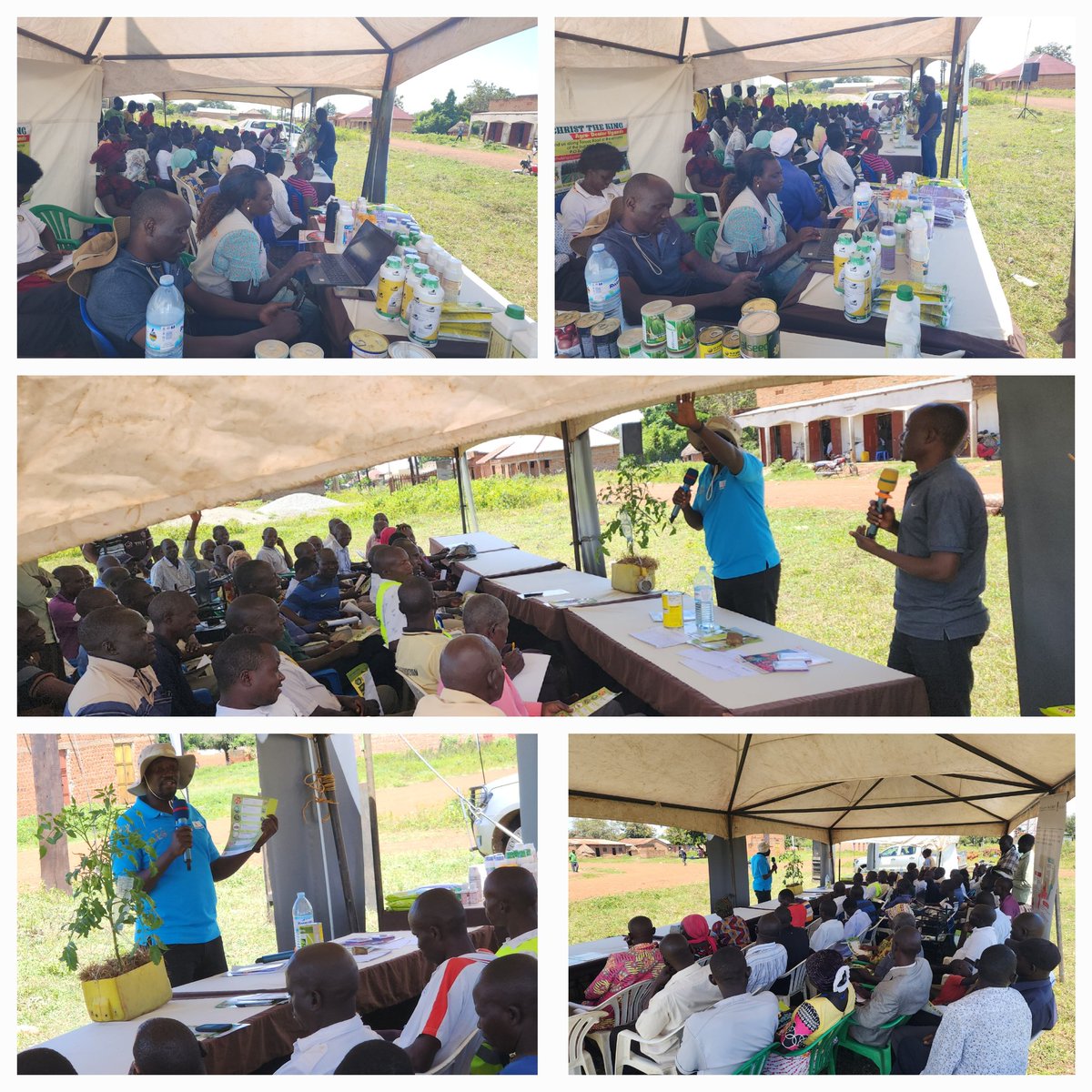 emmanue65939032's tweet image. #Syngenta field day training organized by #Technoserve Uganda. #Kumi district.
#Syngenta bringing plant potential to life,.