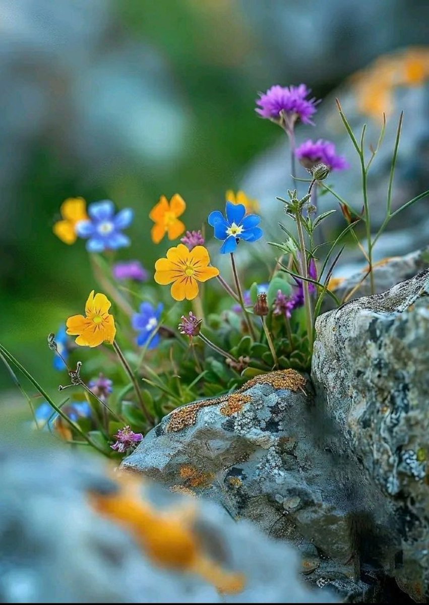 Arianna 🍀 tweet media