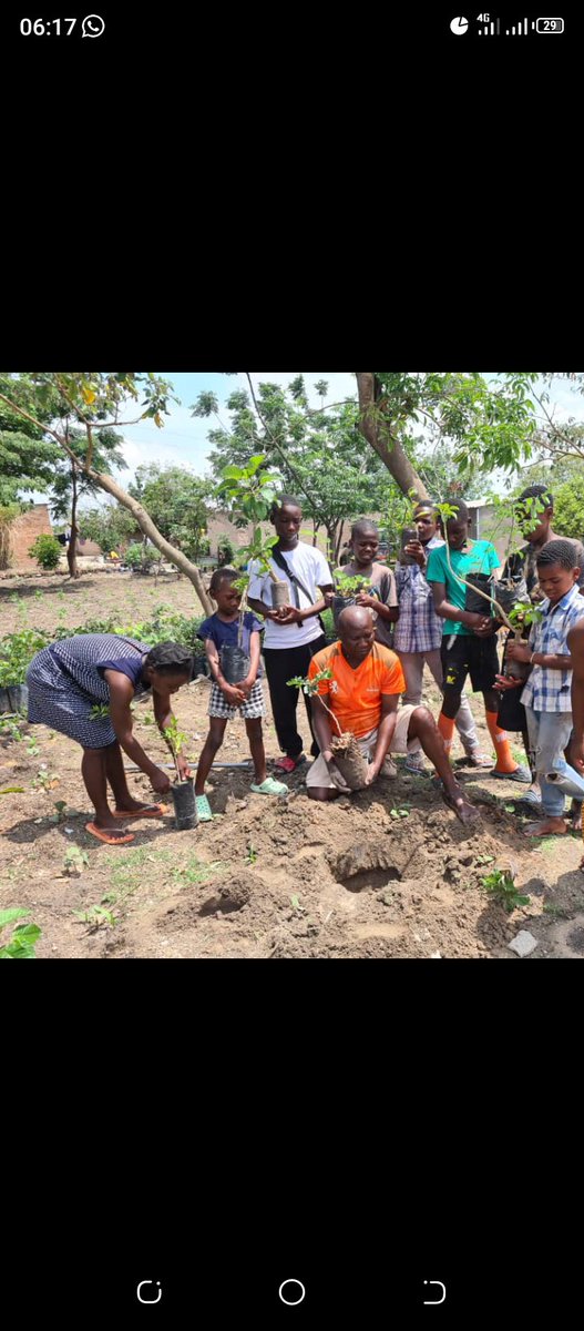 TreeKnowers's tweet image. Yesterday tree grower Otto Billy celebrated his birthday the eco friendly way by inviting local youths from his community and planting #trees  together .What a wonderful way to give back to the #community  !

#treeknowersandgrowers