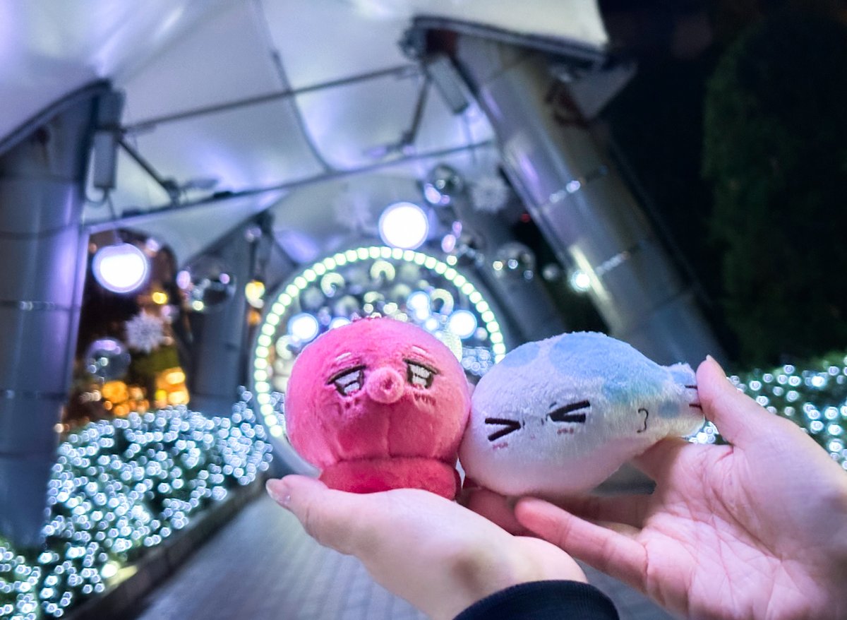ちいさくてかわいい♪ 呉都＆桜咲冬夏の10cmぬいぐるみと みやたこ
