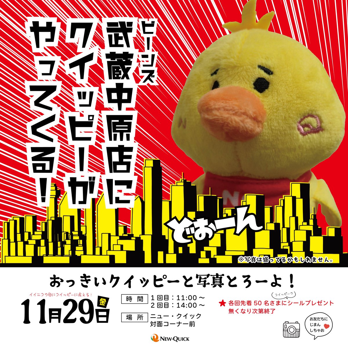 おっきい #クイッピー と写真とろーよ🐥 ＼ ニュー・クイックビーンズ