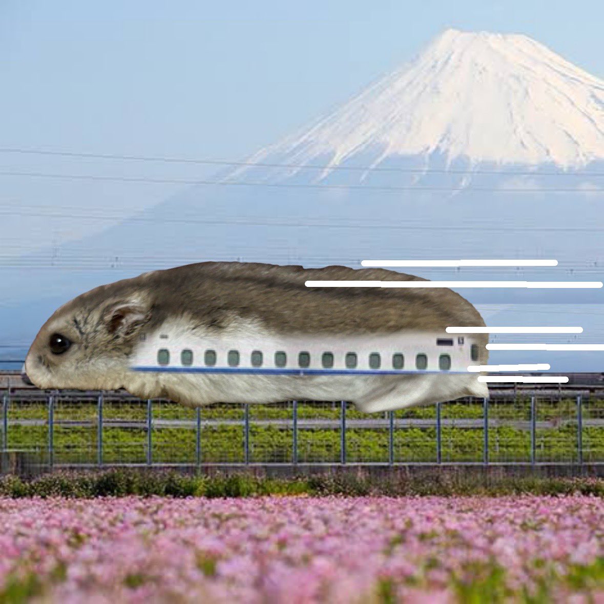 syarumiru's tweet image. 新幹線 みるたん号
ご乗車のお客様は 乗車券のキャベツを みるたん号の口にいれ、ご乗車ください