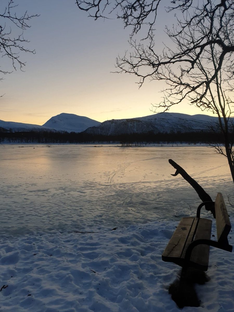 Juanjo a Tromsø 🇳🇴 tweet media