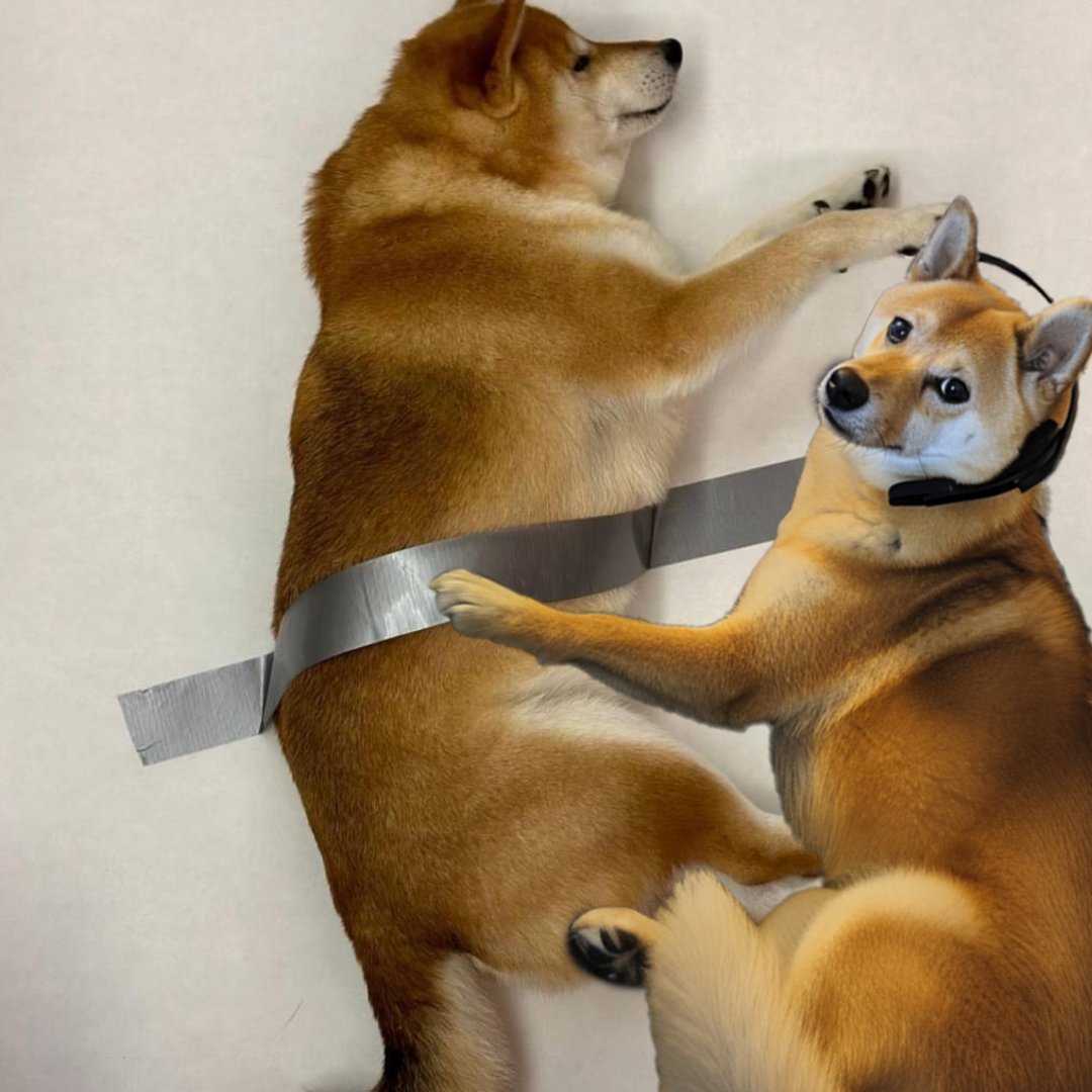 Dog2049Token's tweet photo. Taped #Dog2049 https://t.co/hdkJOzS0Ir