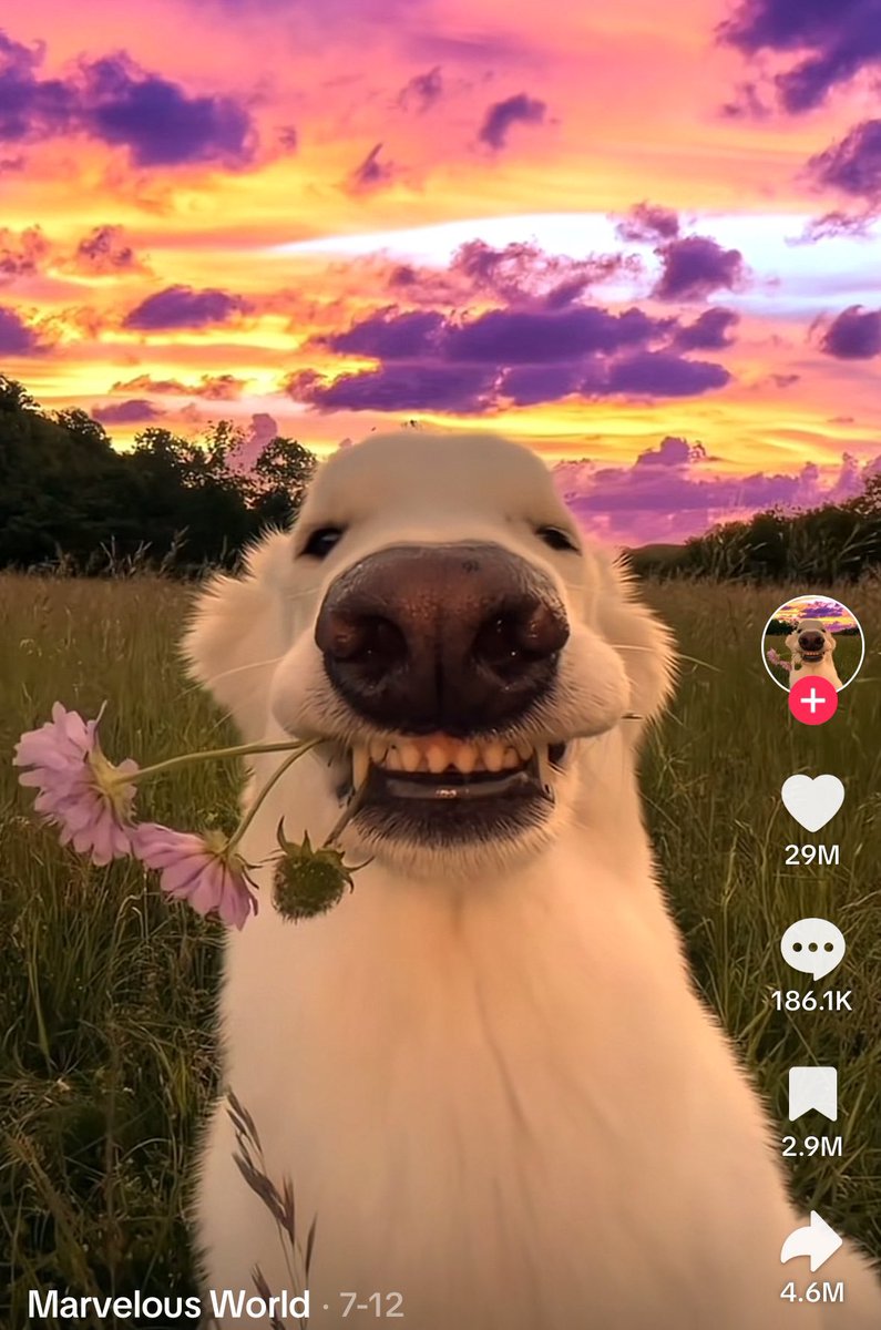 Ghost_6Rider9's tweet image. Close … I like $sunny