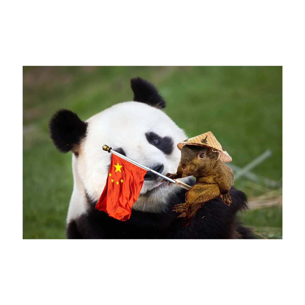 CnutCoin's tweet photo. Have a $Cnut today. 

And a panda. https://t.co/dhO5GQ0j56