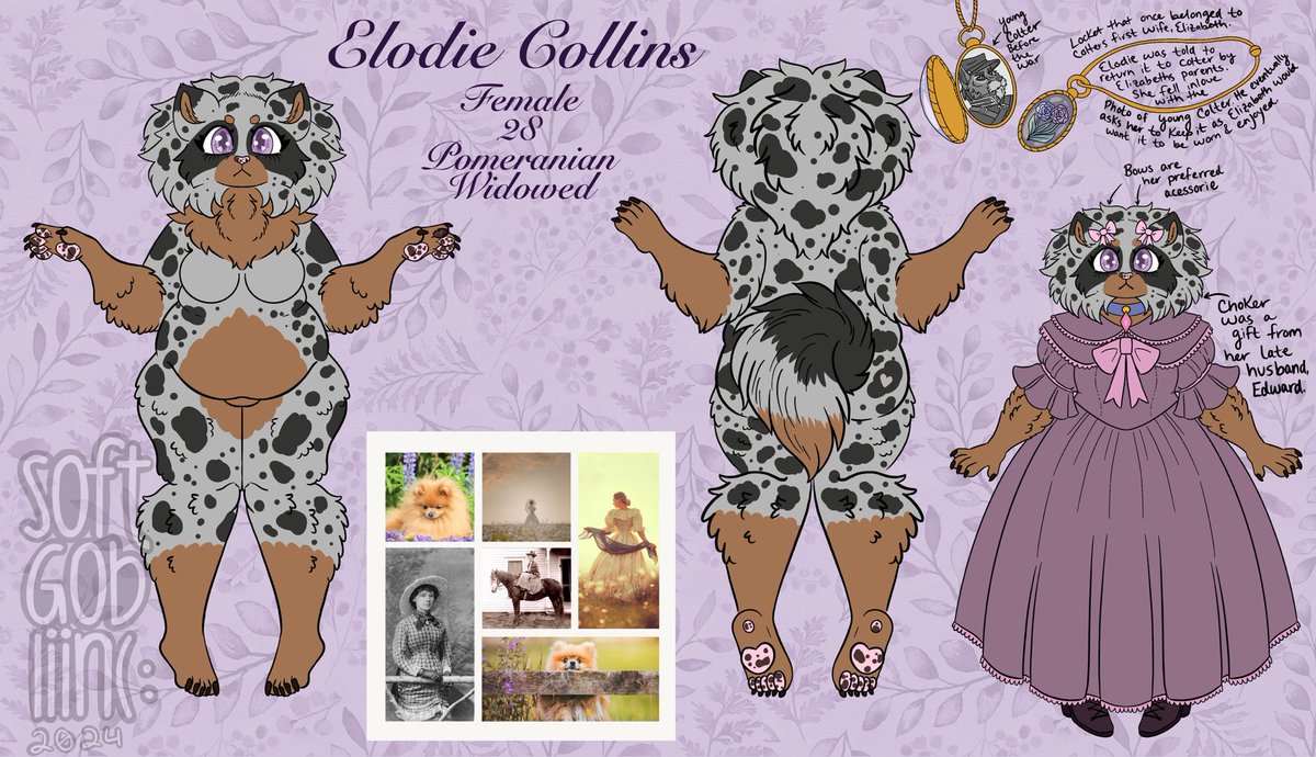 โจ๐ฐ๐๐๐๐๐ ๐บ๐ต ๐ถ๐๐๐๐๐โจ tweet media