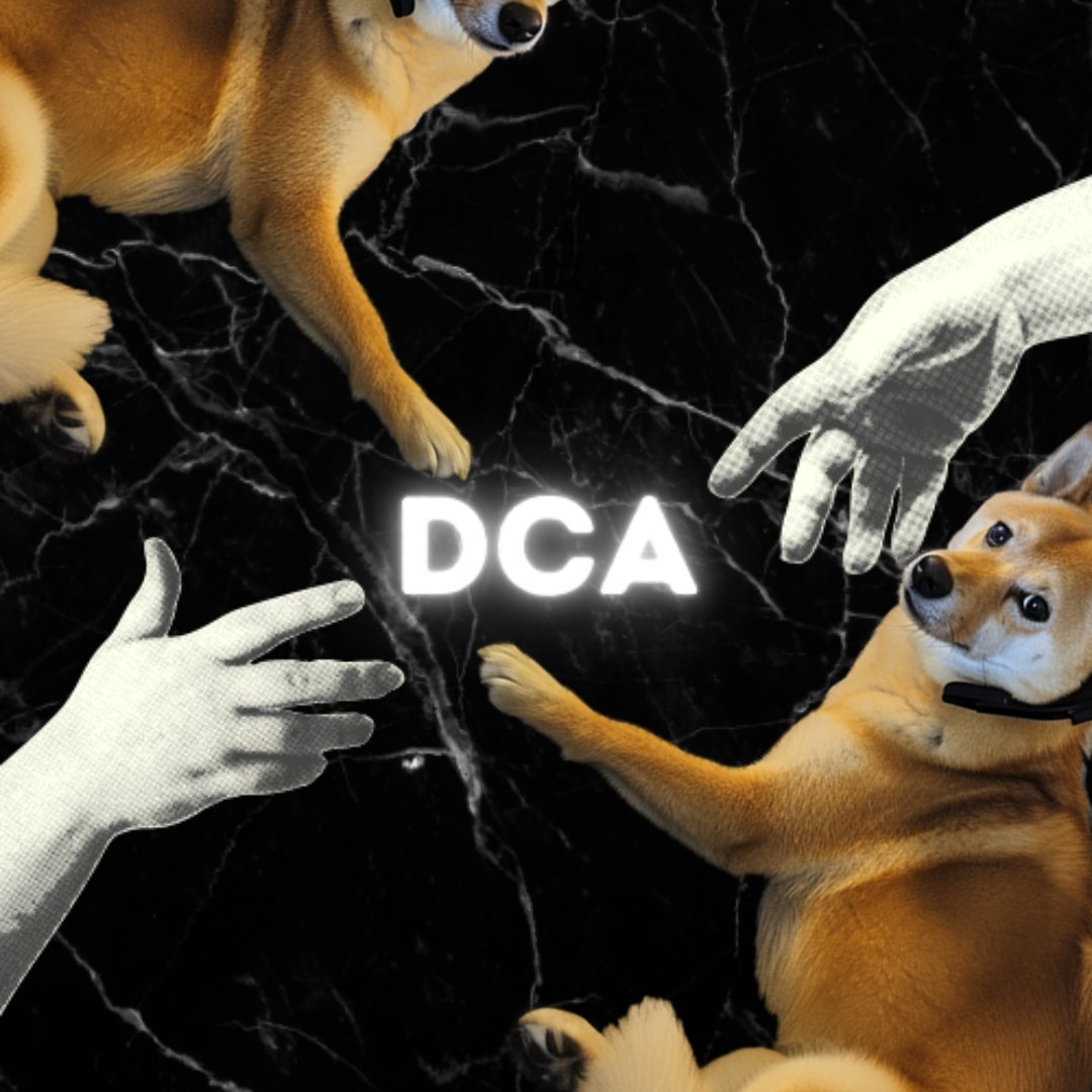 Dog2049Token's tweet photo. DCA #Dog2049 https://t.co/X1HmeTg2K8