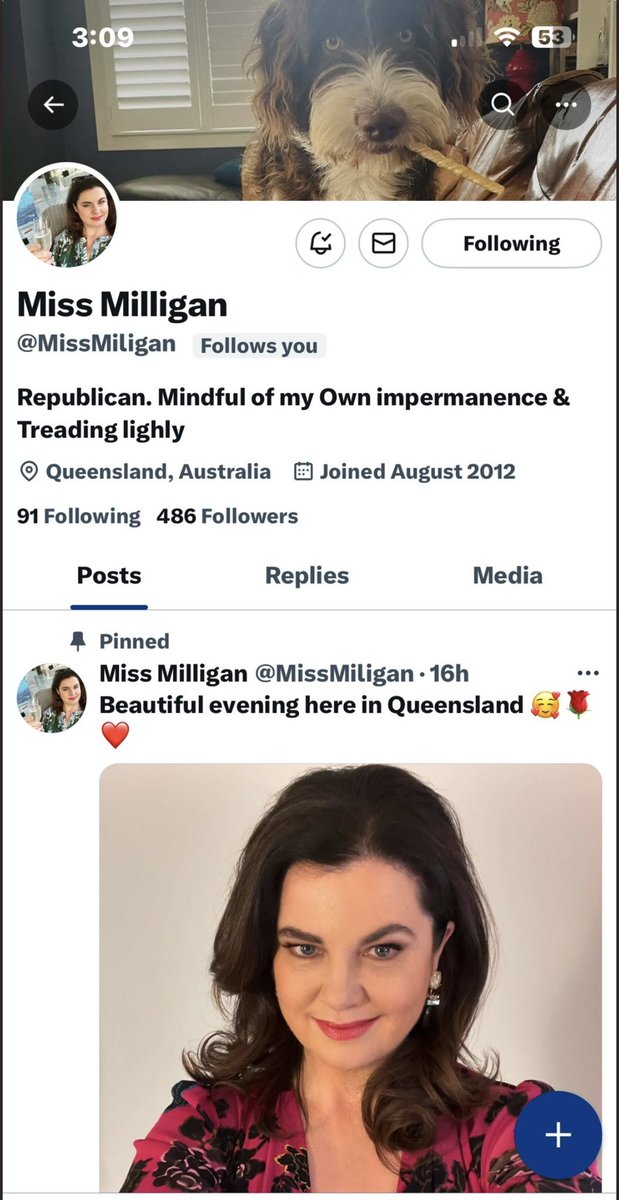 Milliganreports's tweet photo. @x I have tried to report a person impersonating me and your system has not accepted it. Please take down the @MissMiligan account at once. It is using my personal photographs and is extremely creepy. https://t.co/C1srXh9h36