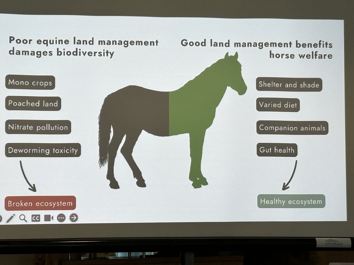 regional_train's tweet photo. Yesterday some of the team attended a course on Environmental Sustainability held at York Racecourse.
Tremendous work by York changes that benefit the wider economy but also human & horse welfare.
Thanks @BRS
#futuregenerations #collaboration #futureofoursport #doingourbit https://t.co/guYFhz2vEz