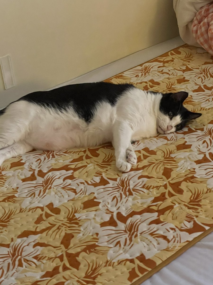 날왜물어🤷♀️니누난데 tweet media