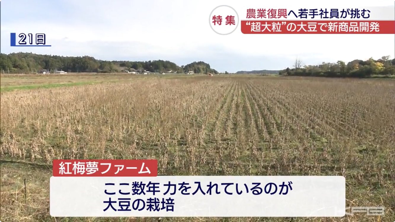 kazuy1929 はに丸 on X: kazuy1929 はに丸 on X: