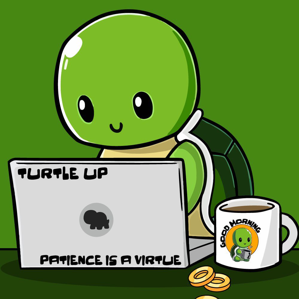 Two low cap gems thats a good Hodl rn at #Bsc i think is $RBCAT and $TUP. 
Both is super cheap around 10k mc.
They held up for weeks with working teams. 
Just a Matter of time before both takeoff 🚀🚀

t.me/RBCAT_BSC

t.me/turtleup