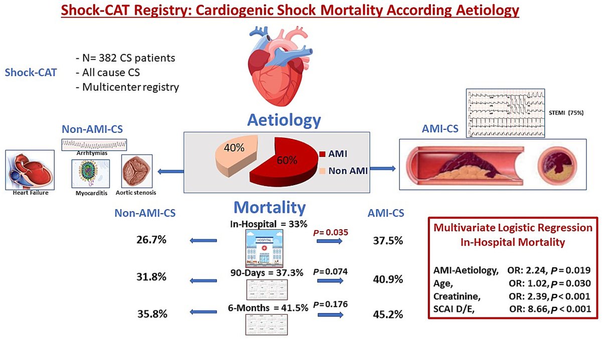 🚨 Does the cause of cardiogenic shock matter?

Shock-CAT study shows #AMI CS has twice the mortality of nonAMI #CS! IABP-SHOCK II better predicts outcomes in AMI-CS.

📖 bit.ly/ESCHF_Shockcat

<a href="/PiotrPonikowski/">Piotr Ponikowski</a> <a href="/CosmeGarciacg7/">Cosme Garcia Garcia</a> <a href="/jaimeaboal/">jaime aboal</a> <a href="/ASionis/">Alessandro Sionis</a> <a href="/randreariba_rut/">Rut Andrea</a> <a href="/JordiBaneras/">Jordi Bañeras</a>