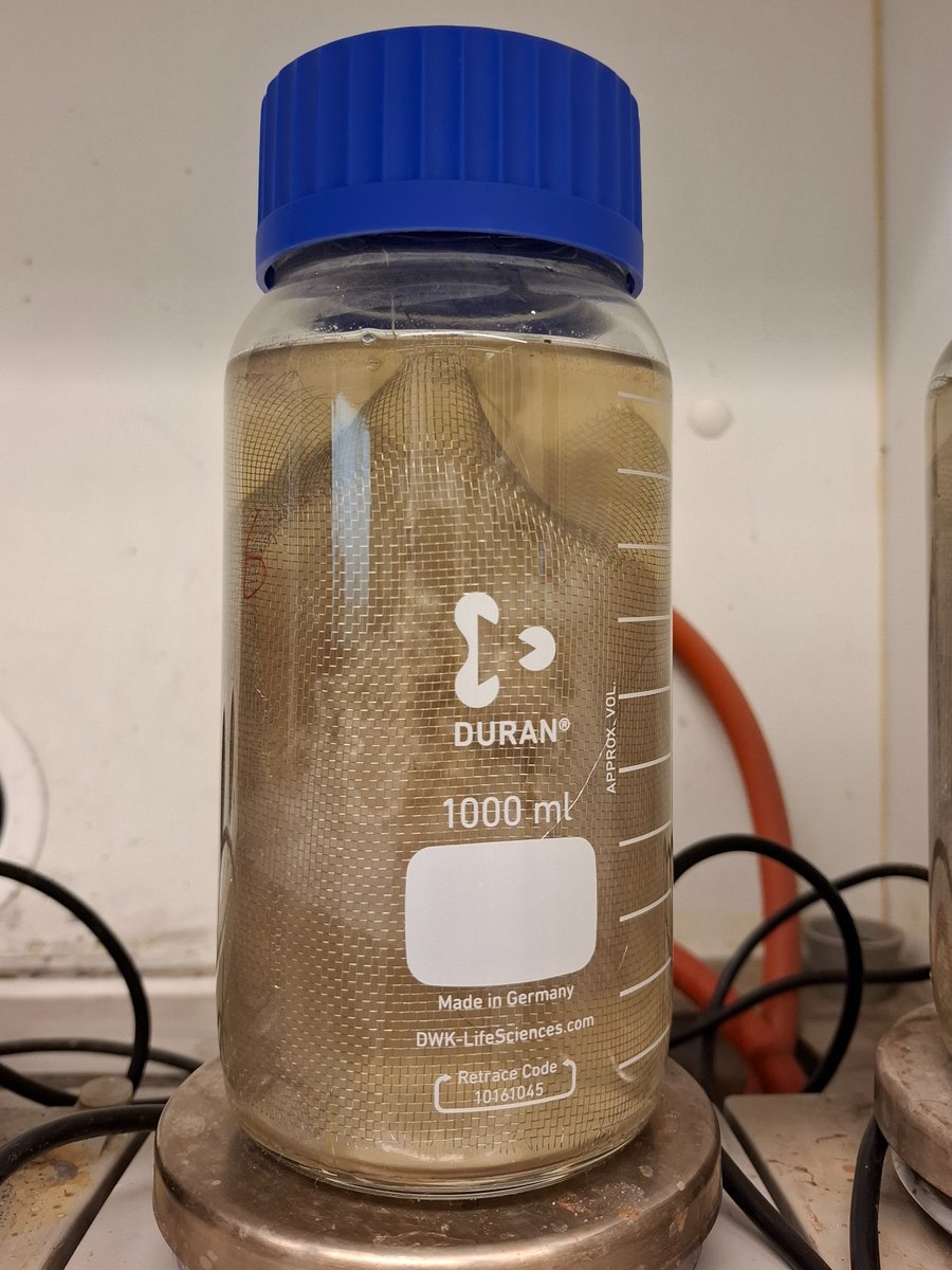 Willatus2's tweet photo. Nyt kun eri bakteeri kannat on testattu ja eri villan tyypit fermentoitu, siirrytään pää osioon. Eli fermentoidaan TEKSEL ja suomenlammas villaa 3, 6 ja 9 päivää. Tarkoituksen on löytää optimaalinen fermentointi aika saadakseen hyvä laatu! https://t.co/FGmIR9tOks