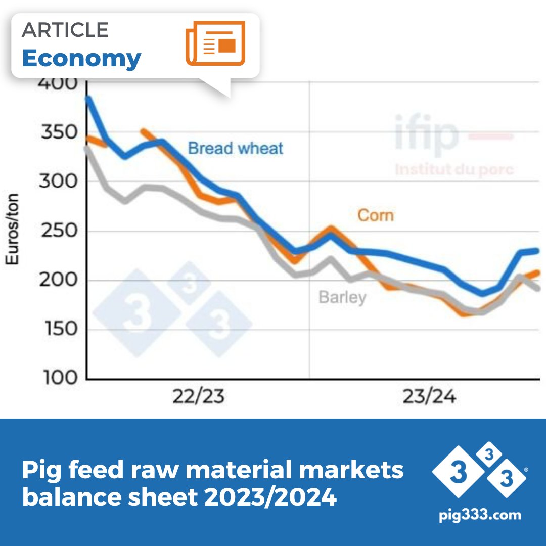 🐷📈🌾 IFIP provides a summary of the evolution of grain and oilseed crops.

🔗 pig333.com/articles/pig-f…

#Pig333 #PigFeed #LivestockNutrition #MarketAnalysis #FeedIngredients
