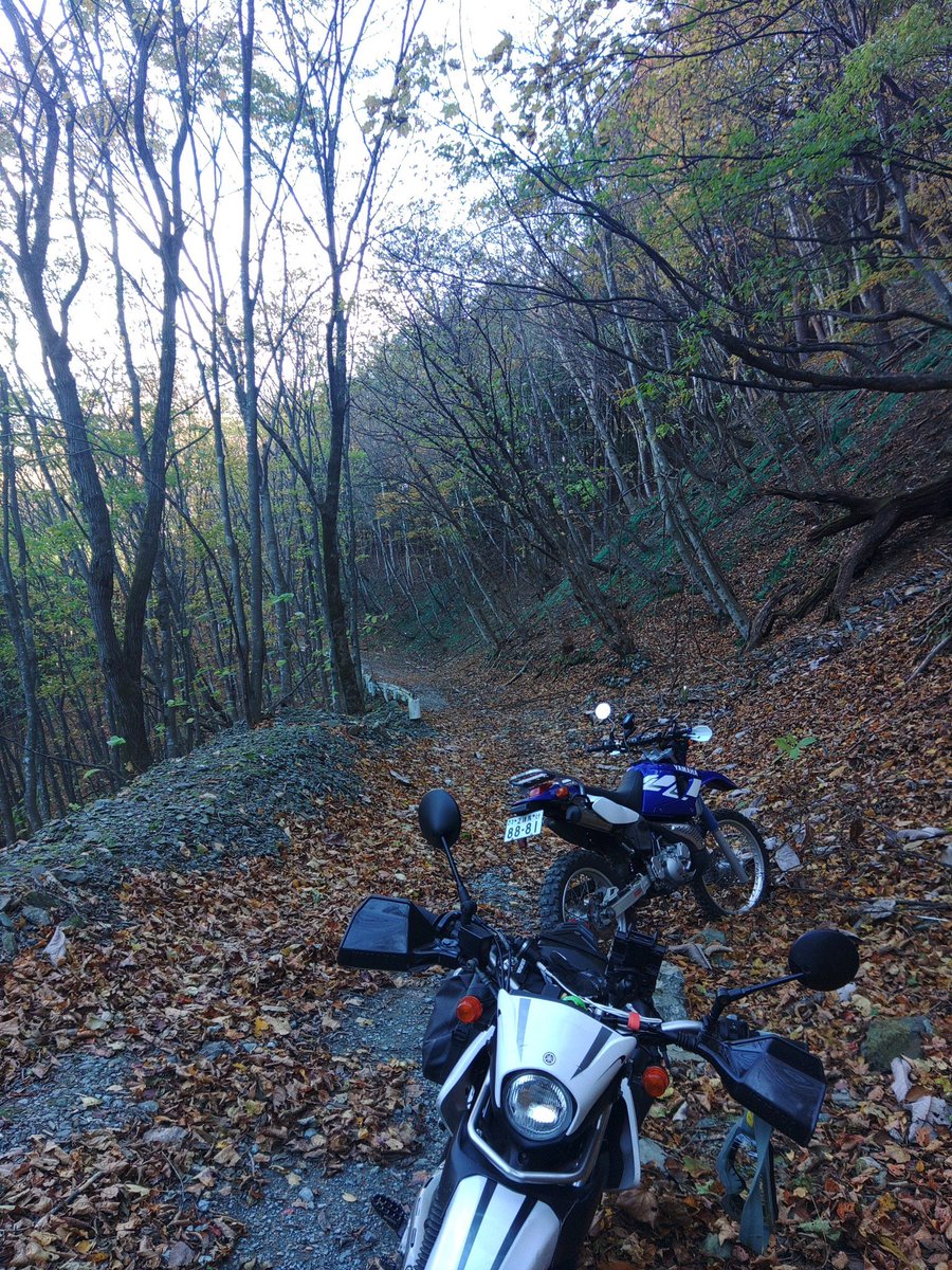 lightning_p38's tweet image. #オフロード #ツーリング