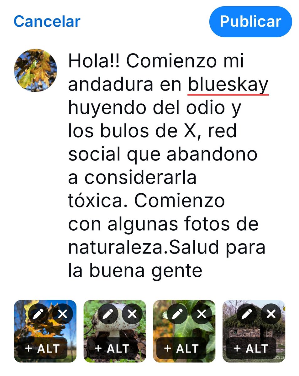Mi cuenta nueva en <a href="/blueskay/">Lusin</a> es @greenleaves.