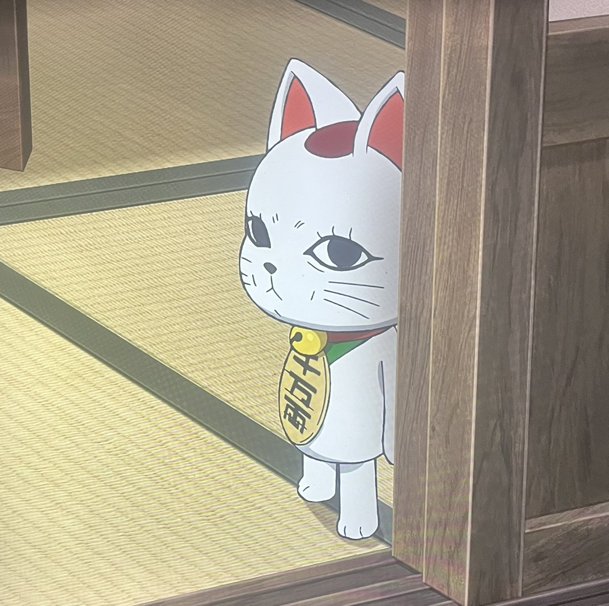 Hikari144 tweet media