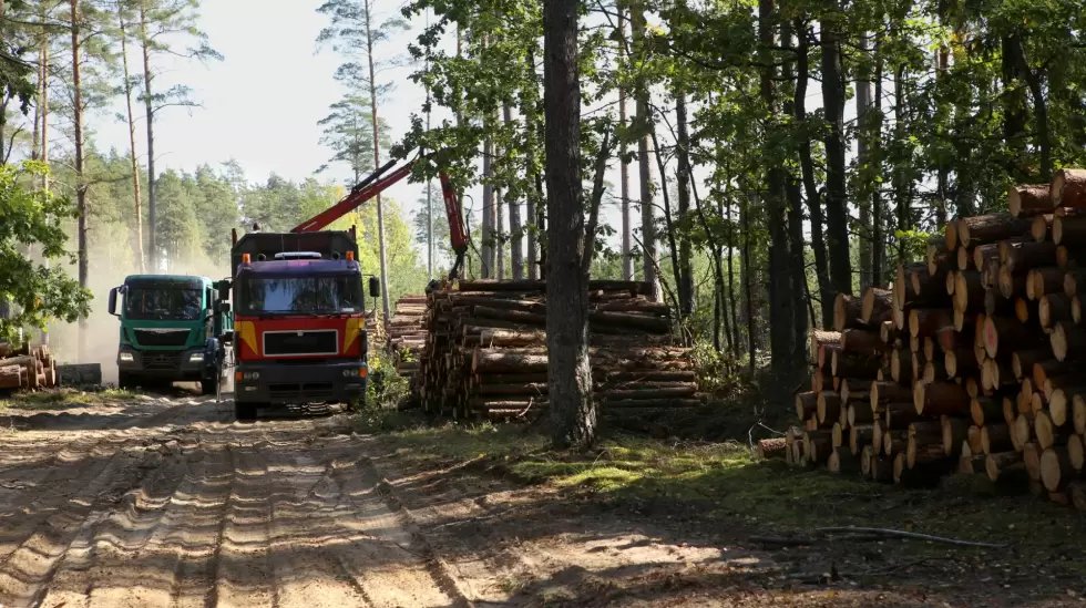 Paraguay, un destino prometedor para inversores extranjeros en el sector forestal

➡ Nuestro país está posicionándose como un destino atractivo para los inversores extranjeros en la industria forestal

🗣Ricardo Boaventura, Managing Director Forest Investment Associates (FIA),