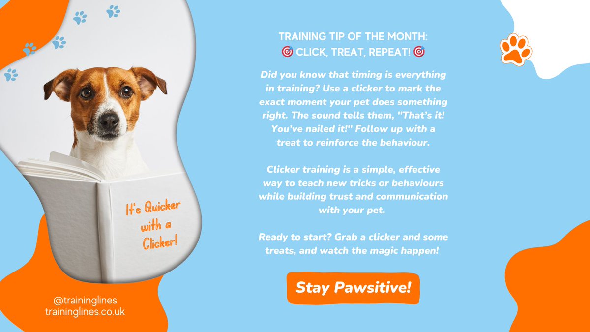 TrainingLines's tweet image. Unlock the power of positive training with a clicker! Reinforce good behaviour through immediate feedback, and make learning fun. 
Pick up a clicker today: buff.ly/3WNDoXg 

#PositiveTraining #ClickerTraining #PetTrainingTips #DogTraining #CatTraining #QuickerWithAClicker