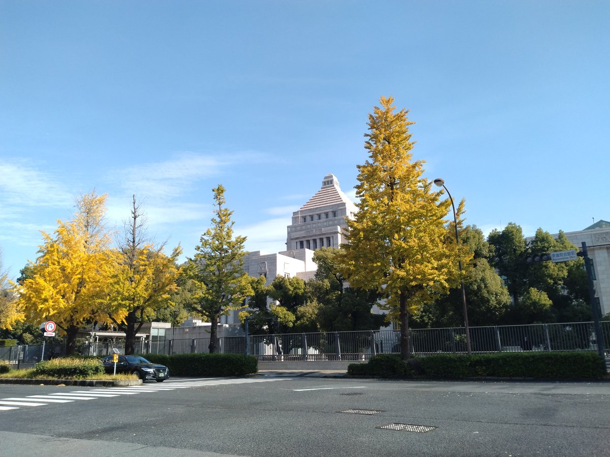 新婦人茨城 tweet media