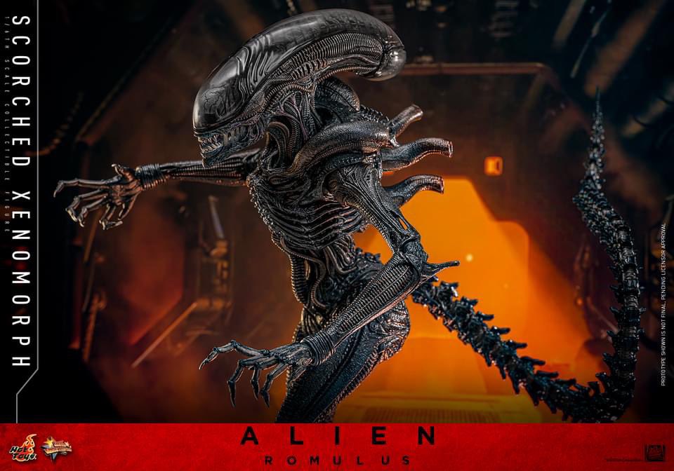one6Update's tweet image. #HotToys has at long last announced the Scorched #Xenomorph from #AlienRomulus.

🧵1

#Sixth #SixthScale #HotToysCollectibles #ホットトイズ  #Alien